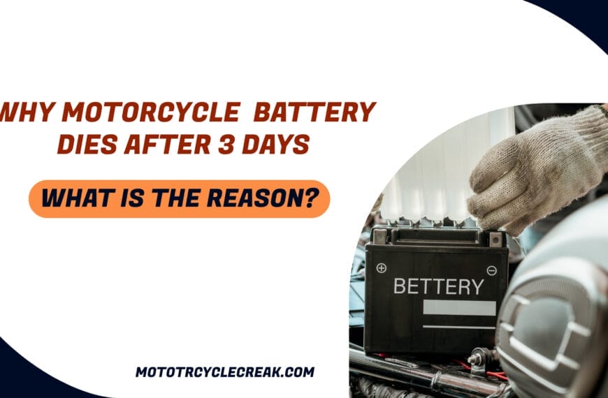 WHY MOTORCYCLE BATTERY AFTER 3 DAYS